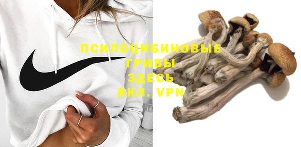прущая мука Бородино
