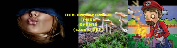 герыч Бронницы