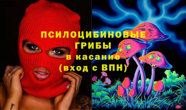 герыч Бронницы